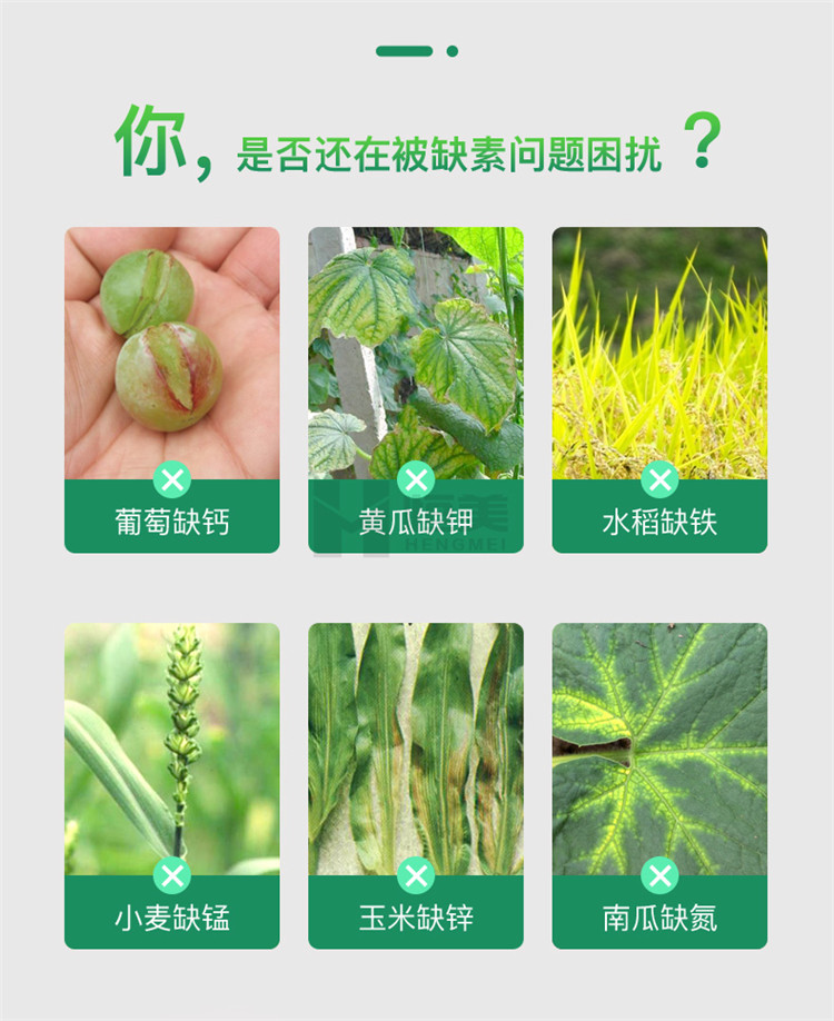 高智能土壤養(yǎng)分檢測(cè)儀怎么選？